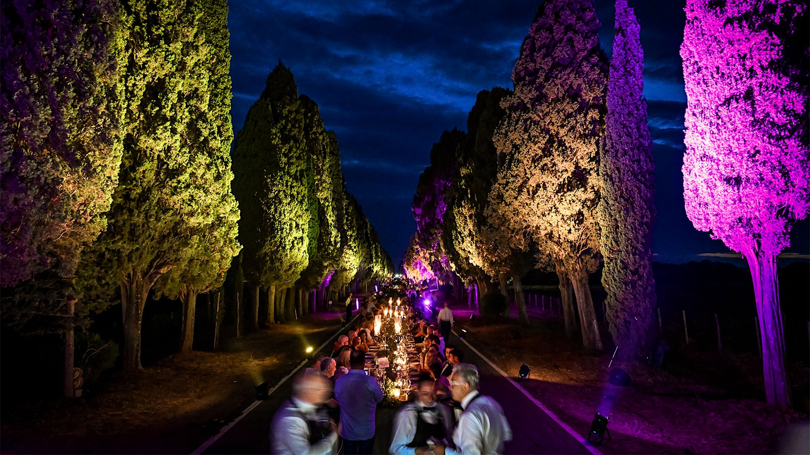 Stretching down a cypress-lined road, the Bolgheri DiVino dinner table is up under the night sky.